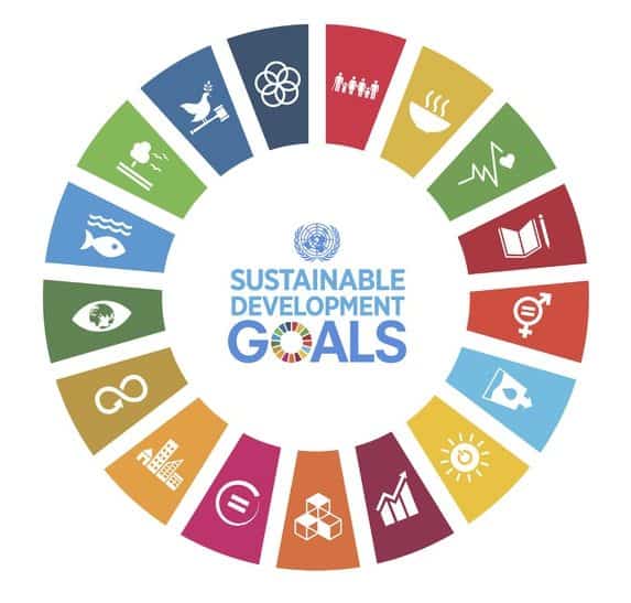 How to mobilise young people to embrace the Sustainable Development Goals
