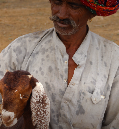 What kinds of agriculture will help us reach the sustainable development goals?  Those that help and those that hinder