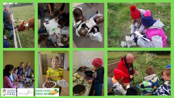Poland: Peer to peer education for more sustainable food – it’s worth it/it works!