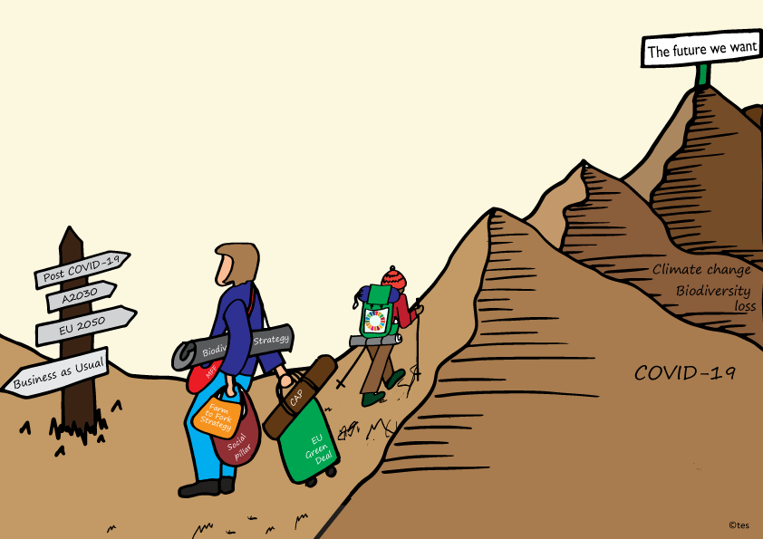 A half step forward in the collective journey towards a more sustainable Europe is not enough