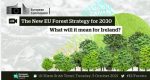 New EU Forest Strategy for 2030