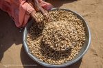 The EU must do more for food security